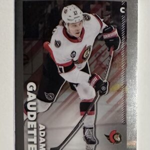2022-23 TOPPS CHROME BASE Online Exclusive #348 - Adam Gaudette