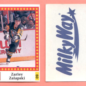 1991 Semic Sweden #60-Zarley Zalapski