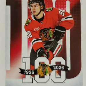 2025-26 TOPPS #753 - Connor Bedard