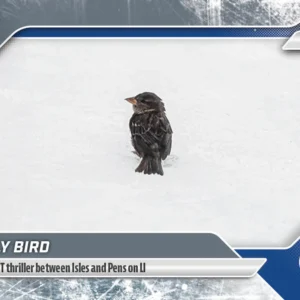 2025-26 Topps NOW #106- Rally Bird (1 of 1550)