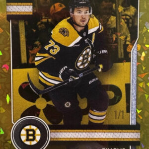 2025-26 Gold #'d Parallel Insert out of 1